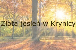 Sanatorium Uzdrowiskowe Leśnik-Drzewiarz